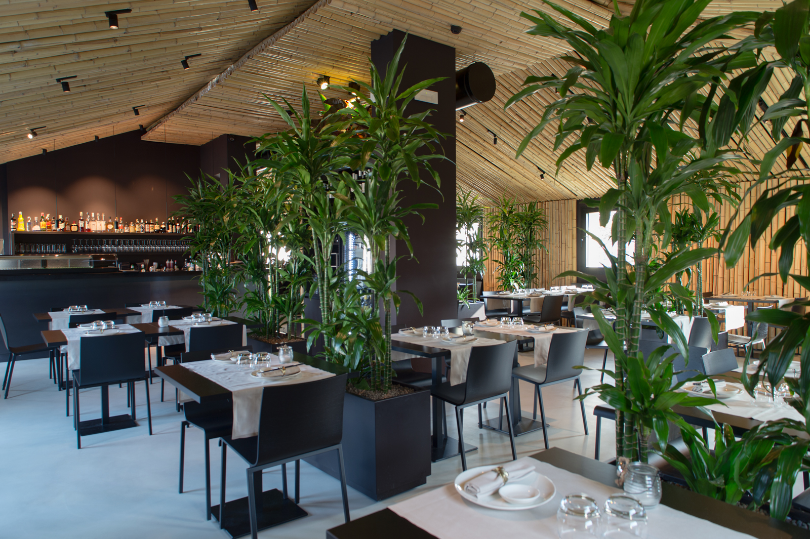 Ristorante IKO